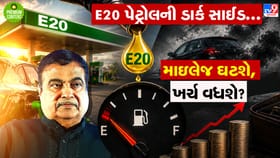 E20 પેટ્રોલ: દેશની જનતાની ગાડીઓ પર સરકારનો પ્રયોગ કે બીજુ કંઈ?