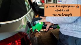 તમારી કાર E20 પેટ્રોલ સપોર્ટ કરે છે કે નહીં આ રીતે જાણો