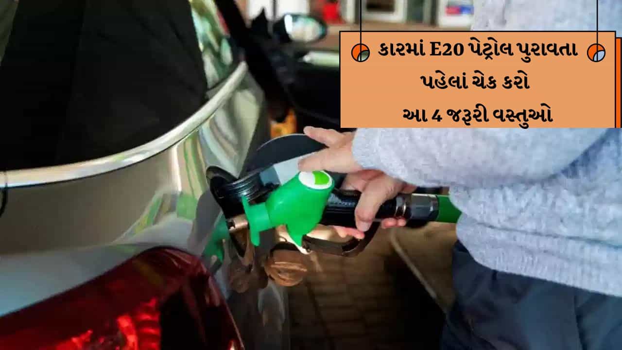 શું તમારી ગાડીમાં E20 પેટ્રોલ ચાલશે ? પેટ્રોલ પંપ પર જતાં પહેલાં આ 4 રીતોથી ઓનલાઇન કે ઓફલાઇન કરો ચેક