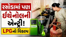 પેટ્રોલ બાદ હવે રસોડામાં પણ ઇથેનોલની એન્ટ્રી!