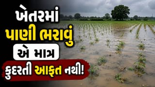 Farming Tips : ખેતરોમાં પાણી ભરાવા પાછળ માત્ર વરસાદ નહીં, વર્ષોની રાસાયણિક ખેતી પણ છે જવાબદાર ?