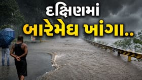 દક્ષિણ ગુજરાતમાં મેઘરાજાની ધડબડાટી