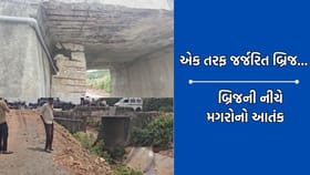 ગીર સોમનાથ: મગરોનો આતંક થી ભયના ઓથાર હેઠળ જીવવા મજબુર ગ્રામીણો- Video