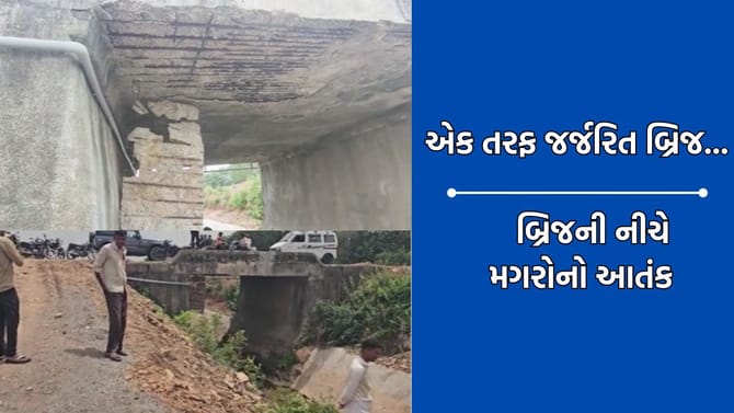 ગીર સોમનાથ: મગરોનો આતંક થી ભયના ઓથાર હેઠળ જીવવા મજબુર ગ્રામીણો- Video