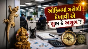 ઓફિસમાં 'ગરોળી' કે તેનું 'બચ્ચું' દેખાવું એ 'શુભ કે અશુભ'?
