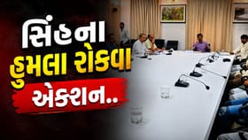 ગીરમાં સિંહના હુમલા રોકવા વન વિભાગ એક્શનમાં