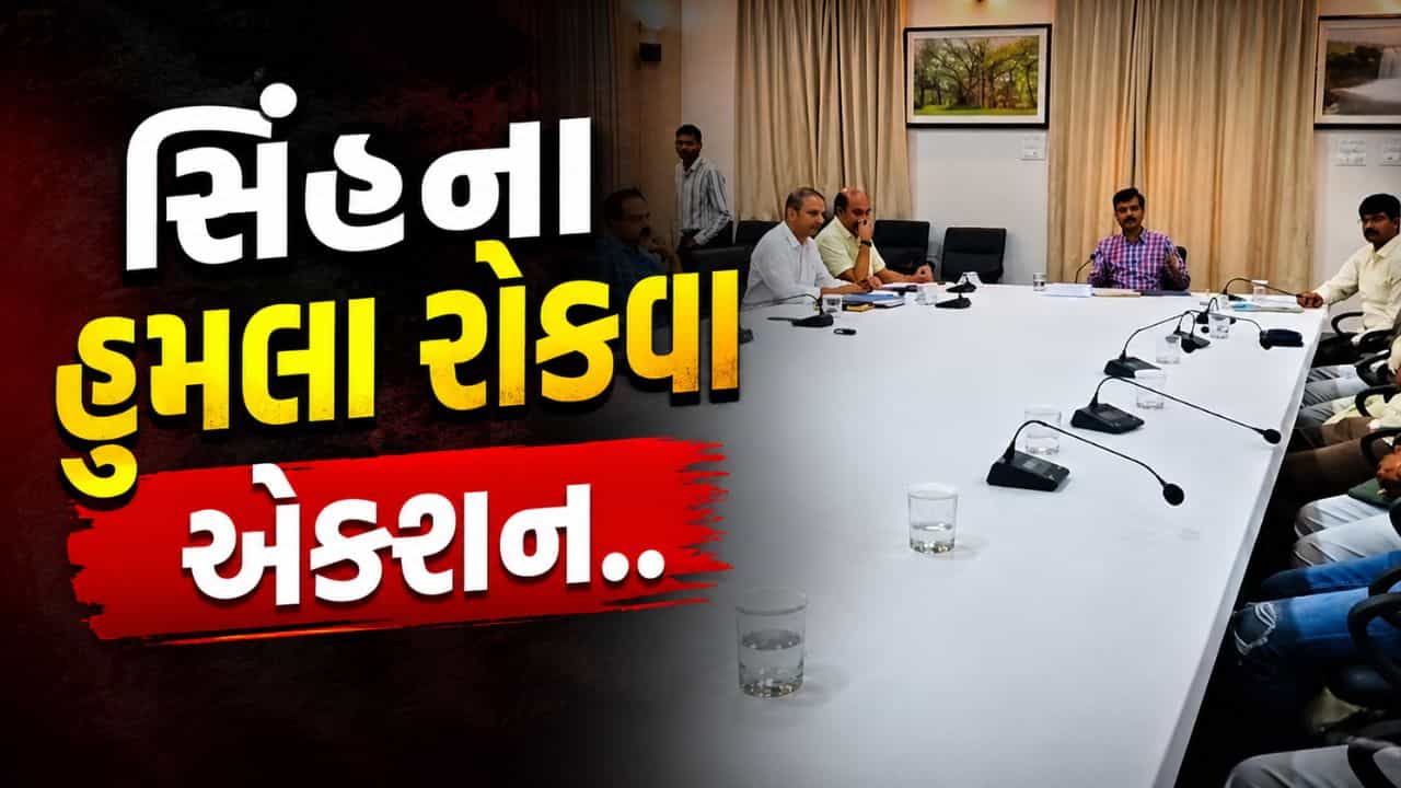 ગીરમાં સિંહના હુમલા રોકવા વન વિભાગ એક્શનમાં, AI અને થર્મલ ડ્રોનનો કરાશે ઉપયોગ