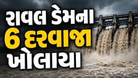 ગીર સોમનાથમાં મેઘતાંડવ! ઉનામાં ગામોમાં પાણી ભરાયા, Watch Video