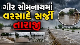 સૂત્રાપાડામાં 12 ઈંચ વરસાદથી તબાહી જ તબાહી, ખેતરો બેટમાં ફેરવાયા