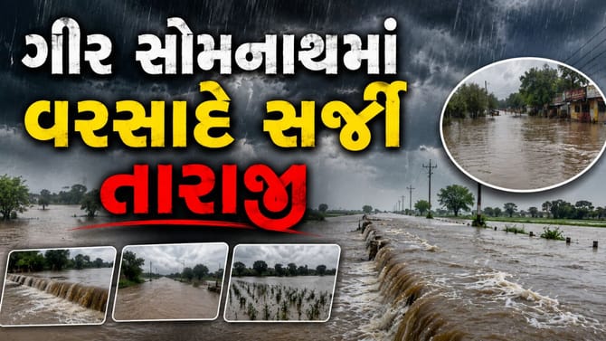 સૂત્રાપાડામાં 12 ઈંચ વરસાદથી તબાહી જ તબાહી, ખેતરો બેટમાં ફેરવાયા