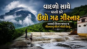 વાદળો સાથે વાતો કરતા ગિરનારનો અદ્દભૂત નજારો, સોળે કળાએ ખીલી પ્રકૃતિ
