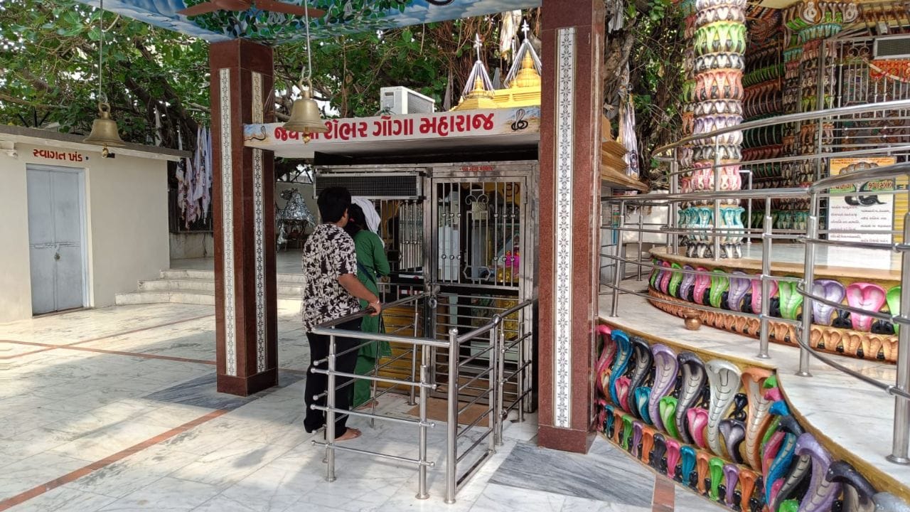 શેભર ગોગા મહારાજનું ધામ આજે સમગ્ર વિસ્તારમાં આસ્થાનું મહત્વપૂર્ણ કેન્દ્ર બની ગયું છે. દર વર્ષે આસપાસના ગામો ઉપરાંત અમદાવાદ, સુરત, મુંબઈ, સૌરાષ્ટ્ર અને વિદેશથી પણ હજારો ભક્તો અહીં દર્શન માટે આવે છે. મંદિરનું સંચાલન જય શેલવર ગોગા મહારાજ સેવા ટ્રસ્ટ દ્વારા કરવામાં આવે છે, જે ભક્તોની સુવિધા અને ધામના વિકાસ માટે સતત કાર્યરત છે. કુદરતી સૌંદર્ય, પ્રાચીન પરંપરા અને અડગ શ્રદ્ધાના સંગમરૂપ આ પવિત્ર ધામમાં આવીને ભક્તો આધ્યાત્મિક શાંતિ અને ગોગા મહારાજના આશીર્વાદનો દિવ્ય અનુભવ કરે છે.