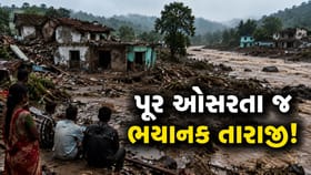 નવસારીમાં પૂર પછી વિનાશના ભયાવહ દ્રશ્યો - જુઓ Video