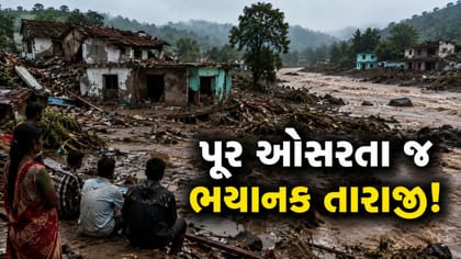 નવસારીમાં પૂર પછી વિનાશના ભયાવહ દ્રશ્યો - જુઓ Video