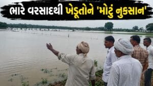 દિયોદરમાં મેઘ પ્રકોપ… 150થી વધુ ખેડૂતોના ઊભા પાક પાણીમાં ડૂબ્યા, યોગ્ય વળતર અને રાહત પેકેજની માંગ –  જુઓ Video