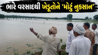 દિયોદરમાં મેઘ પ્રકોપ… 150થી વધુ ખેડૂતોના ઊભા પાક પાણીમાં ડૂબ્યા, યોગ્ય વળતર અને રાહત પેકેજની માંગ –  જુઓ Video