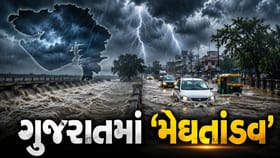 ઉમરપાડાથી લઈને ખેડા સુધી ધોધમાર વરસાદ