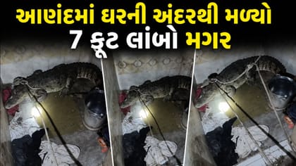 આણંદમાં બાથરૂમનો દરવાજો ખોલતા જ સામે આવ્યો 7 ફૂટનો મગર ! Video