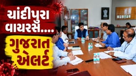ચાંદીપુરા વાયરસને લઈ આરોગ્ય પ્રધાનની અધ્યક્ષતામાં સમીક્ષા બેઠક