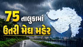 ગુજરાતમાં મેઘમહેર: 24 કલાકમાં 75 તાલુકામાં વરસાદ