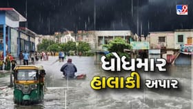 નવસારીના અનેક વિસ્તારો પાણીમાં ગરકાવ, વહીવટીતંત્ર એલર્ટ પર