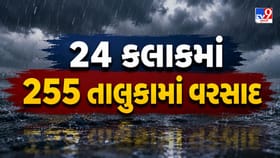 24 કલાકમાં 255 તાલુકામાં વરસાદ, મહેમદાવાદમાં સાડા 19 ઈંચ વરસાદ