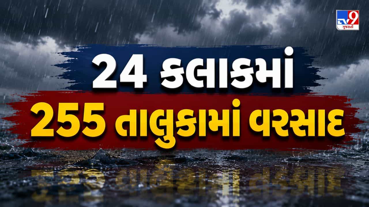 Gujarat Rain Updates: ગુજરાતમાં મેઘરાજાનો મહાપ્રહાર, 24 કલાકમાં 255 તાલુકામાં વરસાદ, મહેમદાવાદમાં સૌથી વધુ સાડા 19 ઈંચ વરસાદ