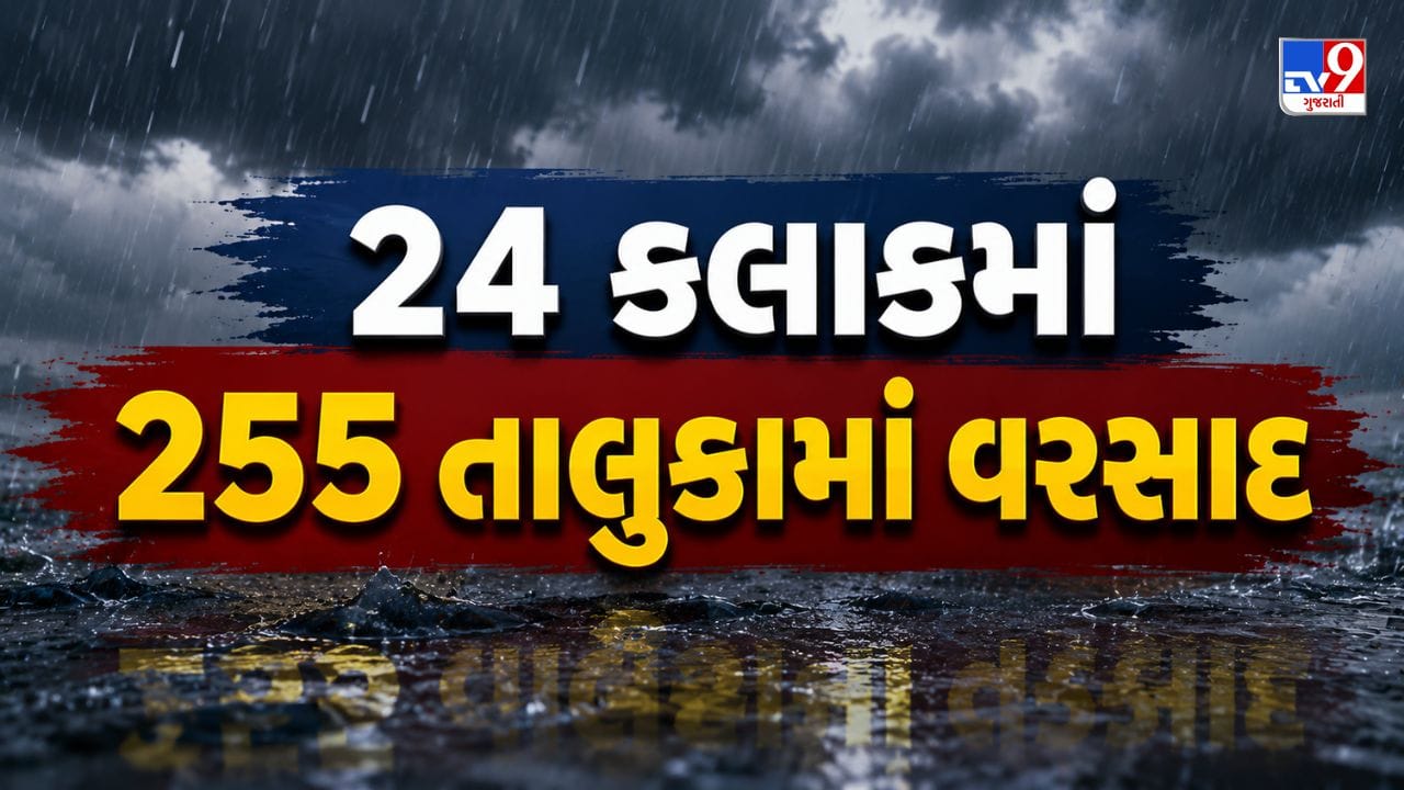 Gujarat Rain Updates: ગુજરાતમાં મેઘરાજાનો મહાપ્રહાર, 24 કલાકમાં 255 તાલુકામાં વરસાદ, મહેમદાવાદમાં સૌથી વધુ સાડા 19 ઈંચ વરસાદ