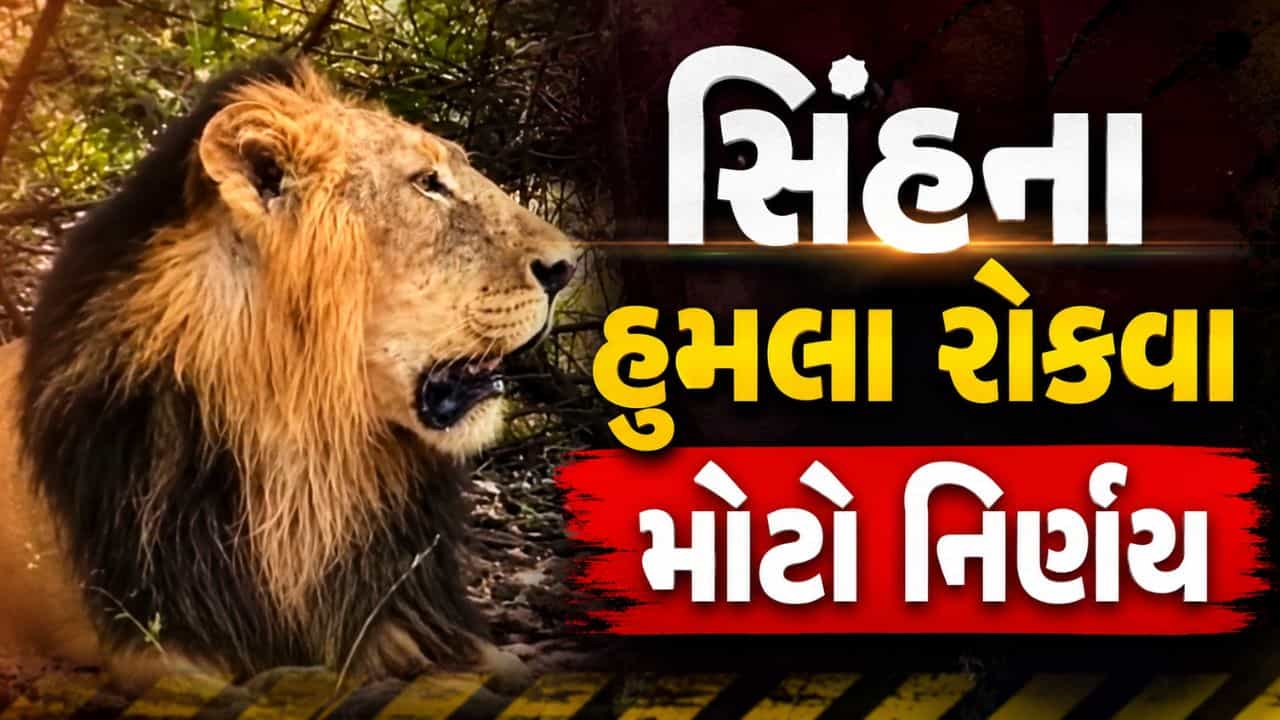 Breaking News : ગિરનાર પર્વત પર સિંહના હુમલા રોકવા ગુજરાત સરકારનો મોટો નિર્ણય, સુરક્ષા એક્શન પ્લાન જાહેર