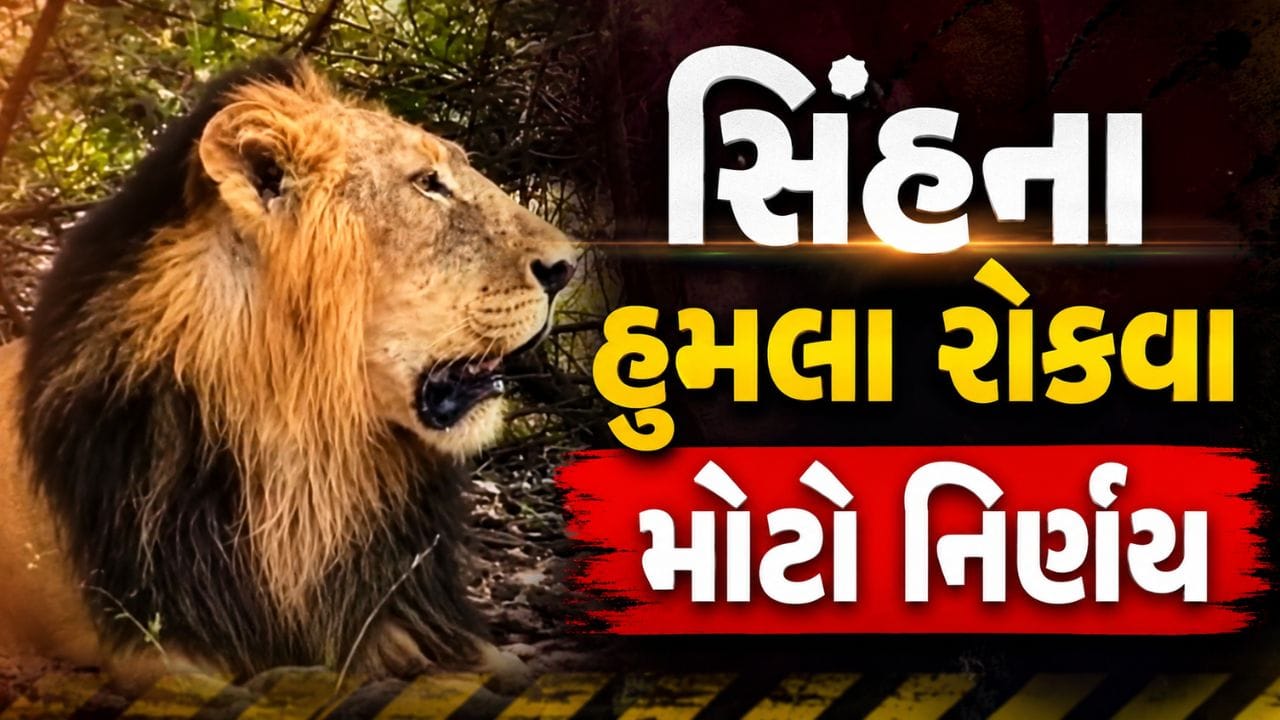 Breaking News : ગિરનાર પર્વત પર સિંહના હુમલા રોકવા ગુજરાત સરકારનો મોટો નિર્ણય, સુરક્ષા એક્શન પ્લાન જાહેર Breaking News : ગિરનાર પર્વત પર સિંહના હુમલા રોકવા ગુજરાત સરકારનો મોટો નિર્ણય, સુરક્ષા એક્શન પ્લાન જાહેર