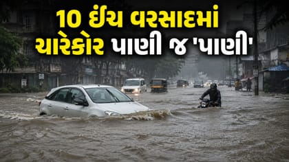 10 ઈંચ વરસાદથી જનજીવન વેરવિખેર, આખો જિલ્લો 'પાણી-પાણી' થયો