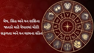 14 જુલાઈ 2026નું રાશિફળ: મેષ અને સિંહ રાશિના જાતકો માટે પ્રગતિ અને નાણાકીય લાભના વિશેષ યોગ