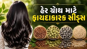 ડાયટમાં ઉમેરો આ 4 સીડ્સ હેર ગ્રોથમાં મદદ મળશે !