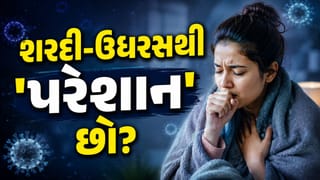ચોમાસામાં શરદી-ઉધરસથી છો ‘પરેશાન’? અજમાવો આ દેશી ઉપાયો, મિનિટોમાં મળશે ‘રાહત’