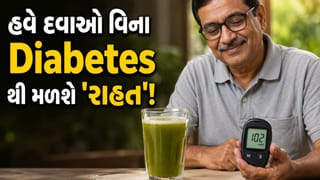ડાયાબિટીસથી રાહત મેળવવા માંગો છો ? તો ઘરના આંગણે ઉગતા આ એક છોડથી કરો દિવસની શરૂઆત, બ્લડ સુગરને રાખશે કાબૂમાં