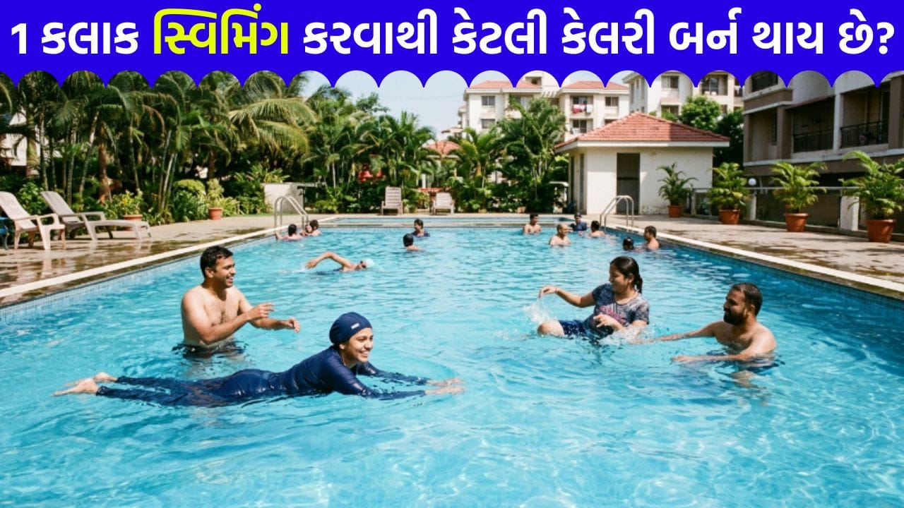 રોજ 1 કલાક સ્વિમિંગ કરવાથી કેટલી કેલરી બર્ન થાય છે ? વજન ઘટાડતા પહેલાં જાણી લો