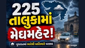 ગુજરાતમાં મેઘરાજાની ધમાકેદાર એન્ટ્રી! 24 કલાકમાં 225 તાલુકામાં વરસાદ