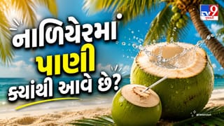 Coconut Water: શું તમે જાણો છો નાળિયેરની અંદર પાણી કેવી રીતે આવે છે? જવાબ જાણીને ચોંકી જશો!