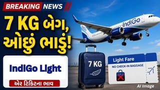 Breaking news:  હવે ફ્લાઇટ ટિકિટ થશે વધુ સસ્તી, IndiGoએ લોન્ચ કર્યું ‘IndiGo Light’ ભાડું