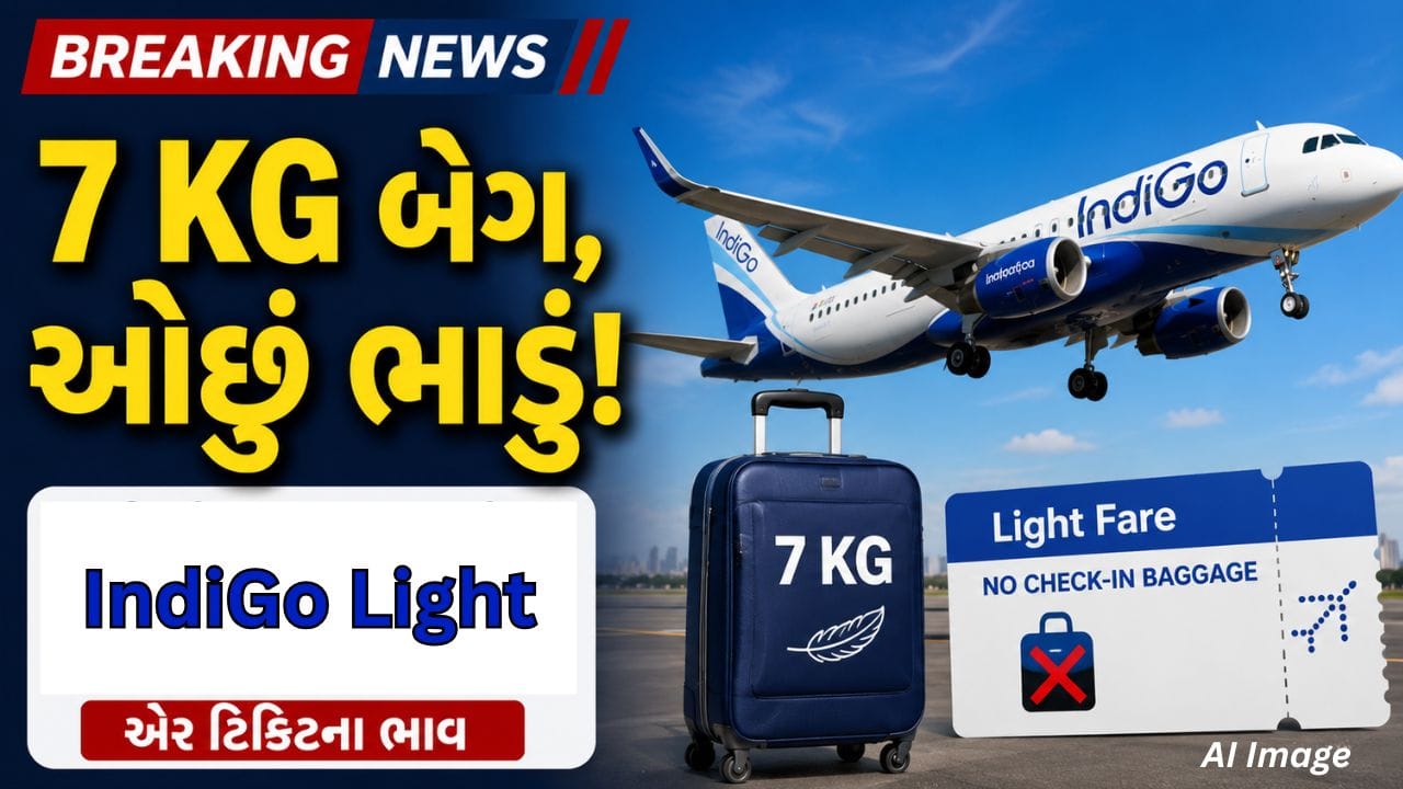 Breaking news: હવે ફ્લાઇટ ટિકિટ થશે વધુ સસ્તી, IndiGoએ લોન્ચ કર્યું 'IndiGo Light' ભાડું
