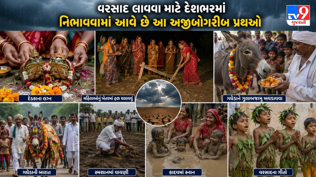 ક્યાંક દેડકાના લગ્ન તો ક્યાંક ગધેડા ખાશે ગુલાબજાંબુ! વરસાદ લાવવા માટે ભારતમાં લોકો કરી રહ્યા છે અનોખો જુગાડ...