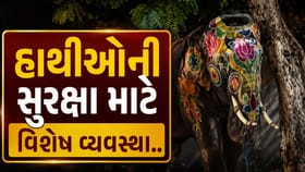 હાથીઓની સુરક્ષા માટે 360 ડિગ્રી CCTV અને ડેસિબલ મીટરની નવી સિસ્ટમ