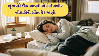 Health Alert: શું તમને પણ બપોરે વારંવાર ઊંઘ આવે છે? સાવધાન, આ 4 ગંભીર બીમારીઓનો હોઈ શકે છે સંકેત!