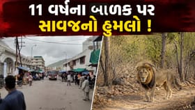 11 વર્ષના બાળક પર સાવજનો હુમલો, ઘટના બાદ ગિરનાર પ્રવાસીઓ માટે બંધ