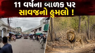 Junagadh News: ગિરનારની સીડીઓ ચઢતા બાળકને સિંહ ખેંચી ગયો, પગના અવશેષો મળ્યા, ઘટના બાદ ગિરનાર પ્રવાસીઓ માટે બંધ