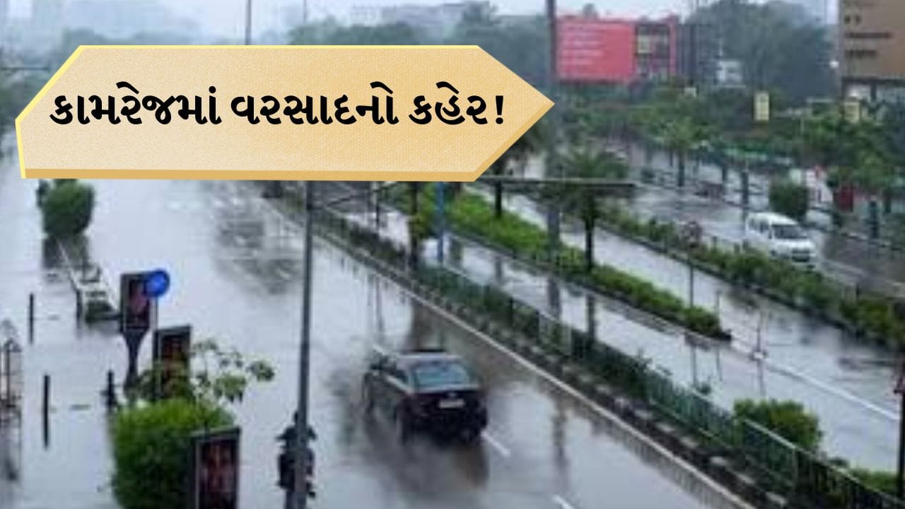 Breaking News: કામરેજમાં 9 ઇંચથી વધુ વરસાદનો કહેર, ખાડીઓમાં પાણીની આવક વચ્ચે ટ્રેક્ટર પર ઉતરી પોલીસ, Watch Video Breaking News: કામરેજમાં 9 ઇંચથી વધુ વરસાદનો કહેર, ખાડીઓમાં પાણીની આવક વચ્ચે ટ્રેક્ટર પર ઉતરી પોલીસ, Watch Video