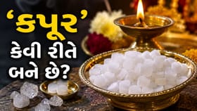 રોજ પૂજા-પાઠમાં વપરાતું 'કપૂર' આખરે કઈ રીતે બને છે?