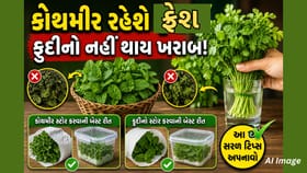 ફ્રિજમાં રાખ્યા પછી પણ કોથમીર ખરાબ થઈ જાય છે? જાણો સાચી સ્ટોરેજ ટિપ્સ