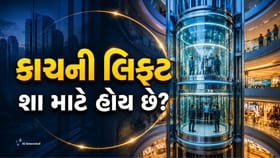 મોલ અને ઊંચી ઇમારતોમાં કાચની લિફ્ટ શા માટે હોય છે?