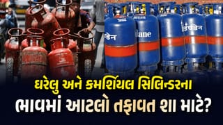ઘરેલુ LPG સસ્તું અને કમર્શિયલ સિલિન્ડર મોંઘુ કેમ? જાણો કિંમત નક્કી થવાનું ગણિત